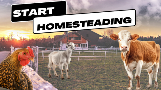 Best Tips for New Homesteaders