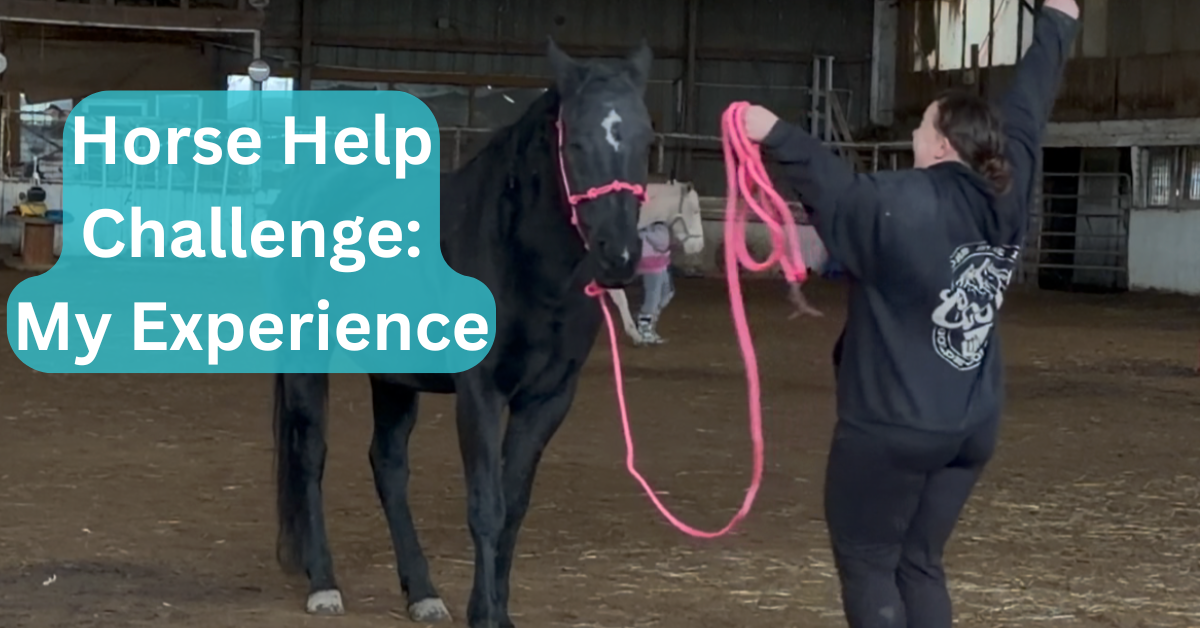 What is the Horse Help Challenge (and why am I doing it)?