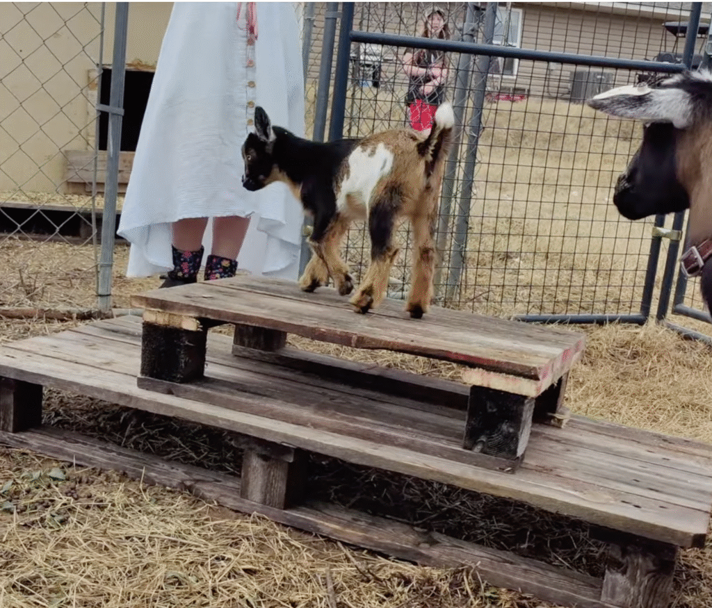 Screenshot 2025 11 23 at 2.33.41 pm