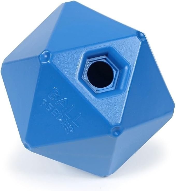 Treat ball for horses