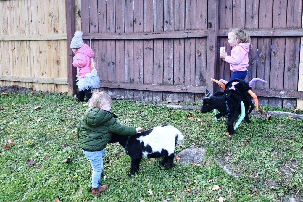 Goat party in costume