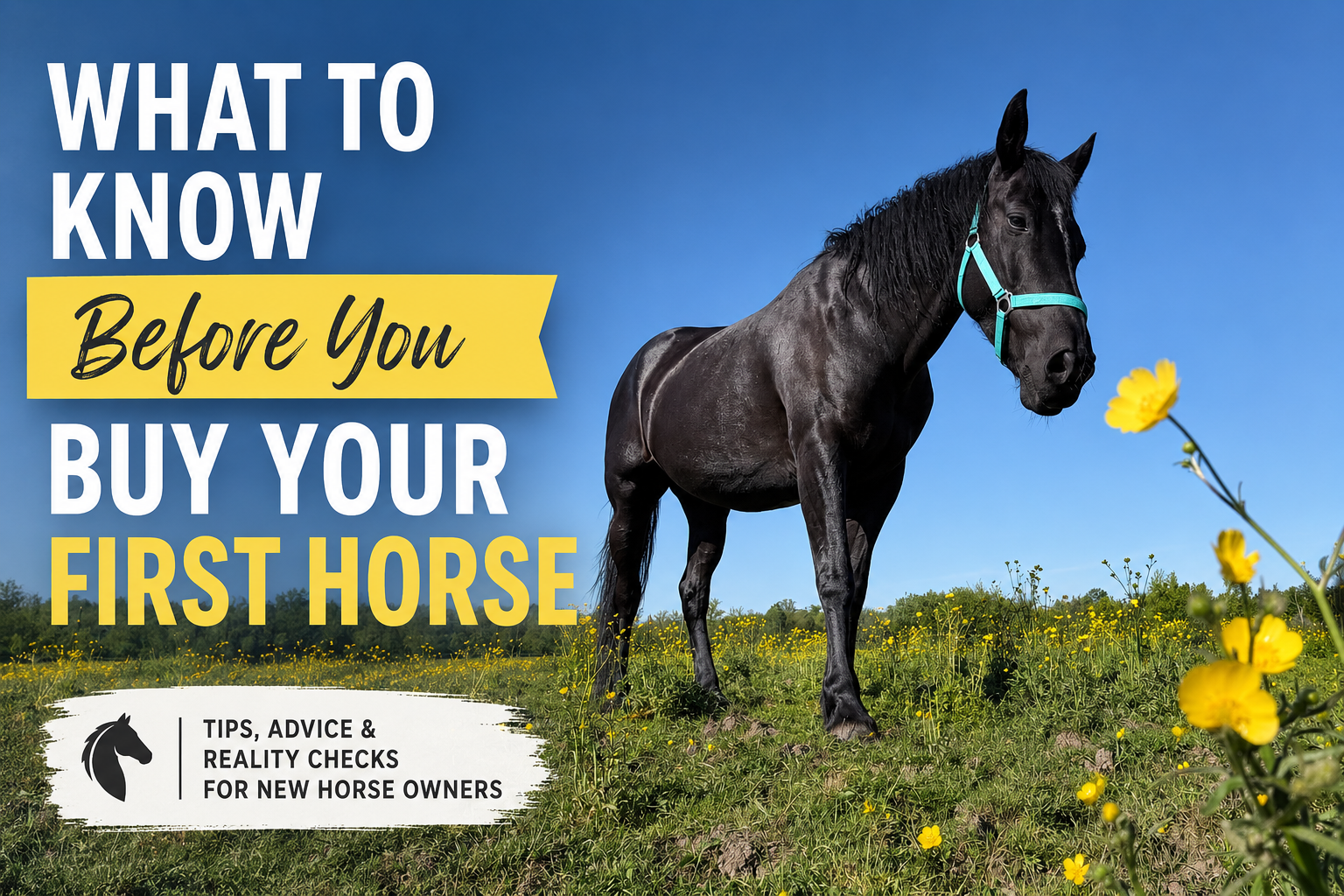 What Nobody Tells You Before You Get Your First Horse