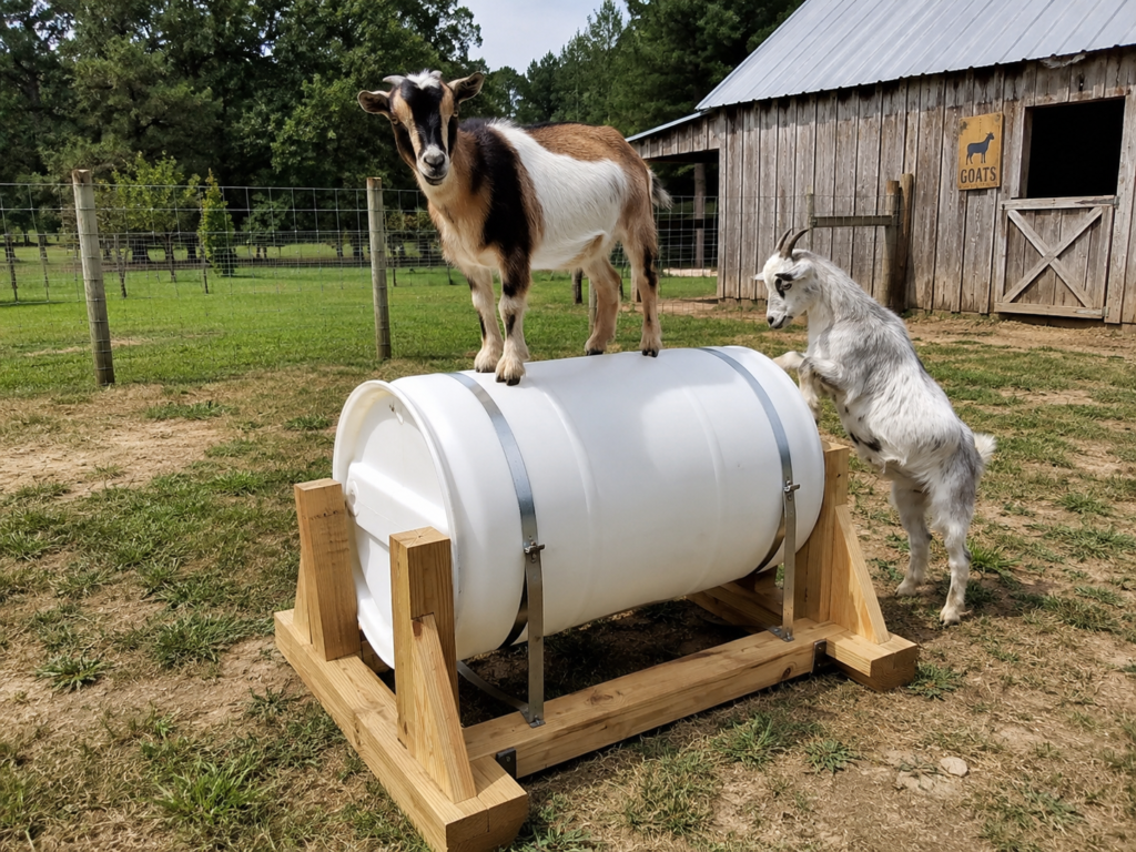 Goat barrel