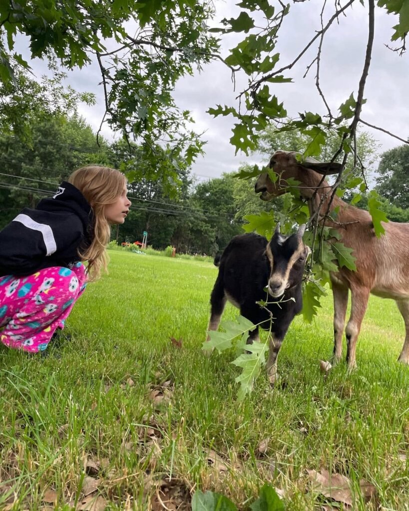 Our goats