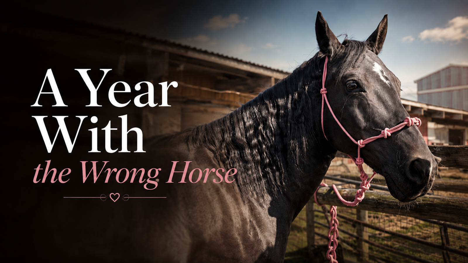 I Spent a Year Trying to Make the Wrong Horse Work