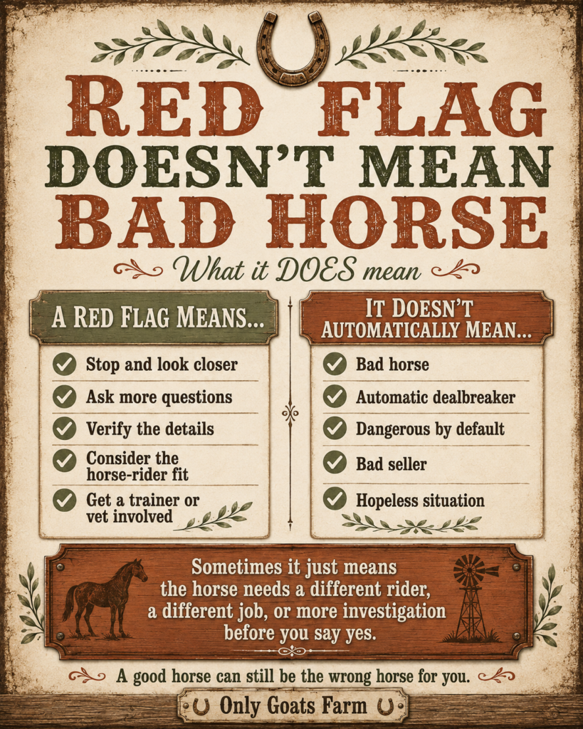 Red flag doesnt mean bad