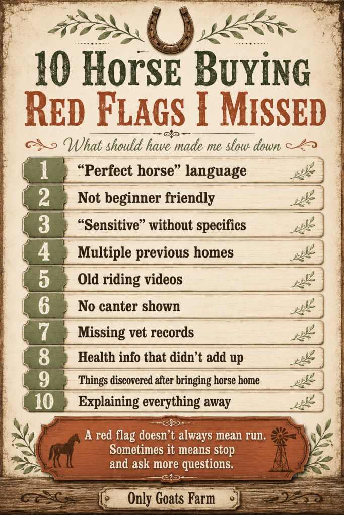 Red flags for buying a horse