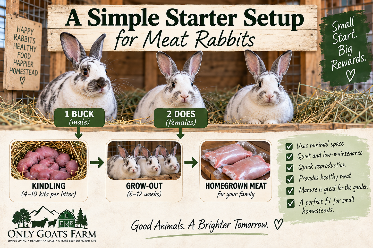 Meat rabbit breeding kindling weaning grow-out and processing timeline