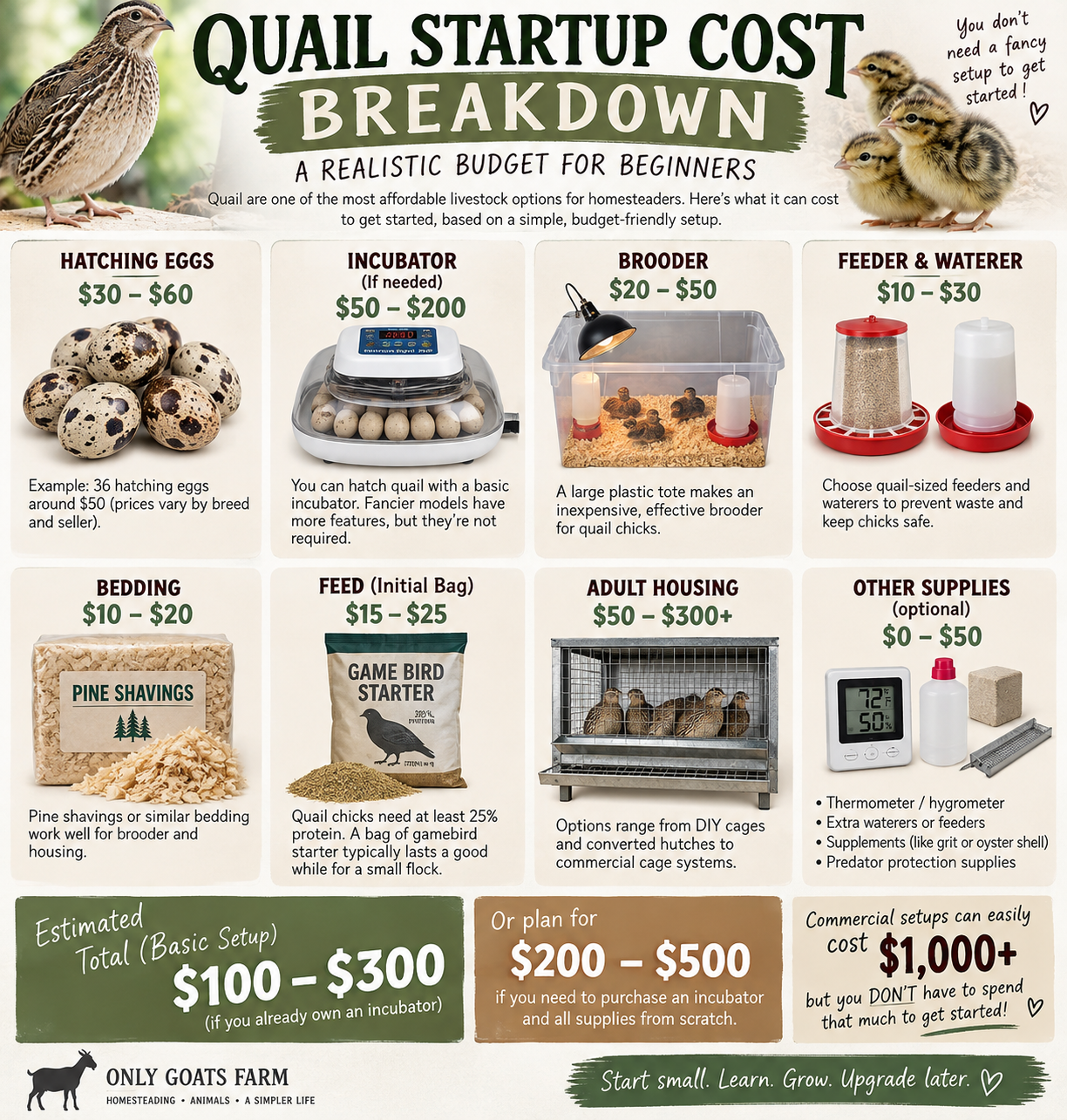 Quail startup cost breakdown infographic showing estimated costs for hatching eggs, incubator, brooder, feeders, bedding, feed, housing, and beginner setup totals.