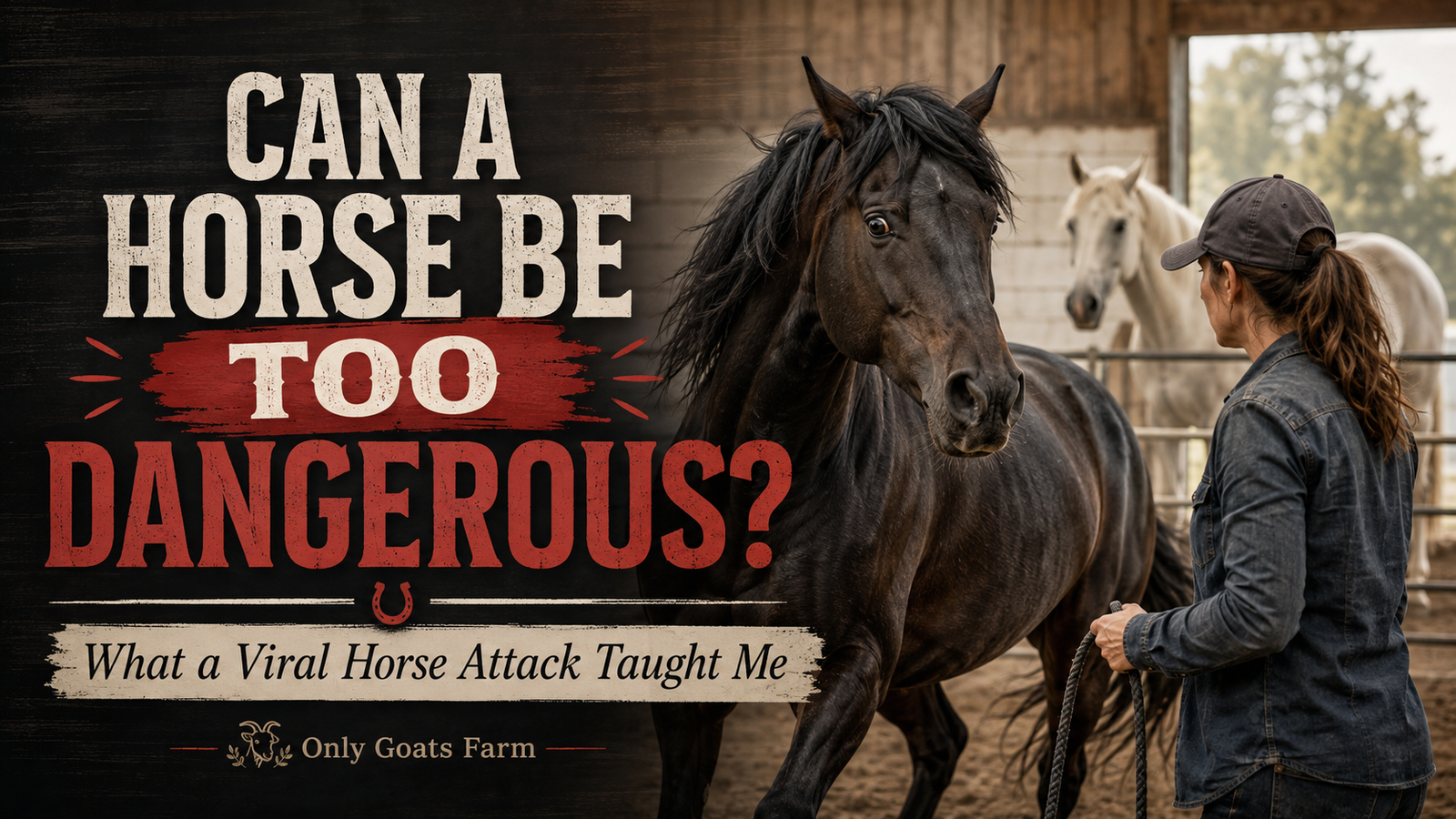 Dangerous horse