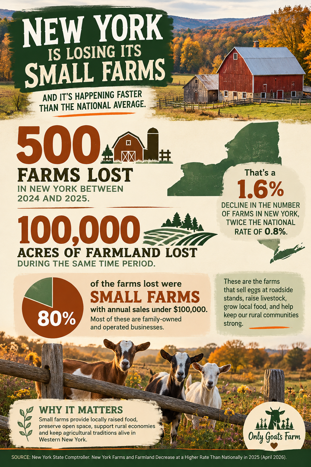 Infographic on New York losing 500 farms and 100,000 acres of farmland from 2024 to 2025